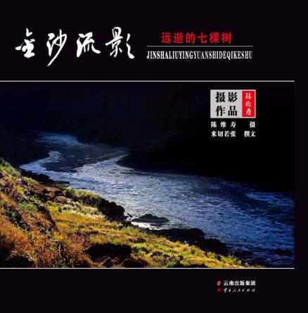 金沙流影  远逝的七棵树 封面