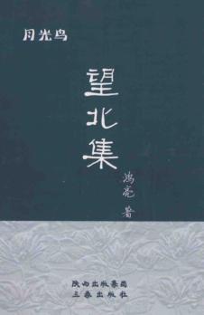 望北集  月光鸟 封面