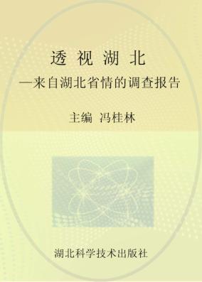 透视湖北  来自湖北省情的调查报告 封面