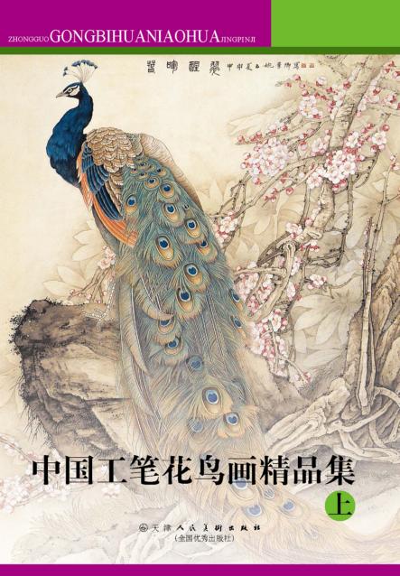 中国工笔花鸟画精品集  上 封面