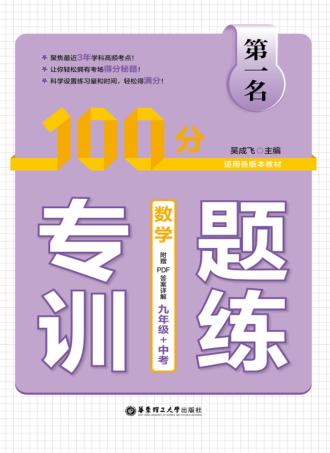 第一名·100分专题训练  数学  九年级+中考 电子书封面