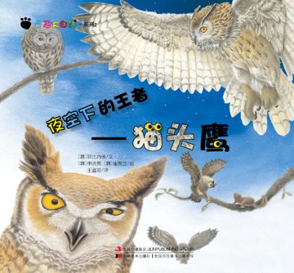 夜空下的王者  猫头鹰 封面