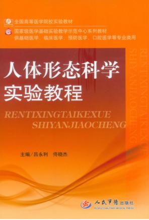 人体形态科学实验教程 封面