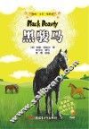 黑骏马 电子书封面