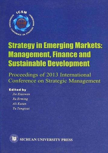 新兴市场战略  管理、金融与可持续发展  英文 封面