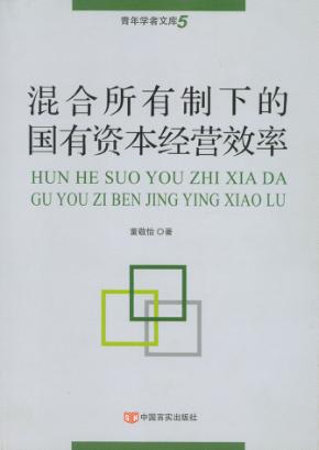 混合所有制下的国有资本经营效率 封面