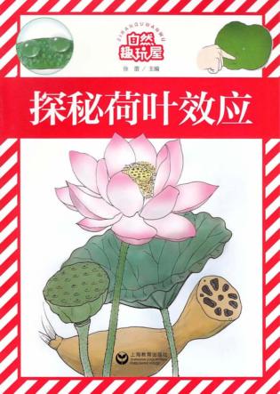 自然趣玩屋  探秘荷叶效应 封面