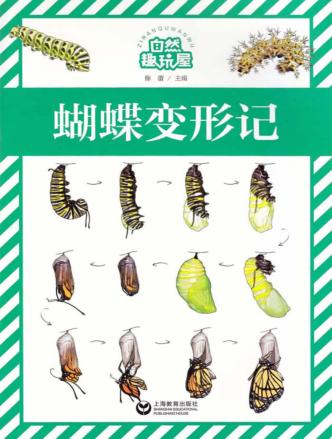 自然趣玩屋  蝴蝶变形记 封面