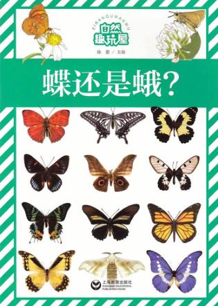 自然趣玩屋  蝶还是蛾? 封面
