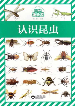 自然趣玩屋  认识昆虫 封面
