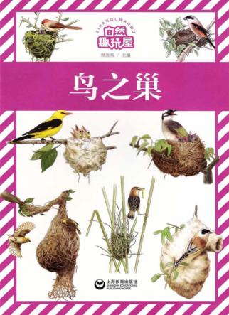 自然趣玩屋  鸟之巢 封面