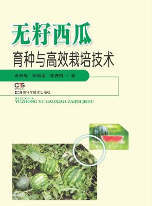 无籽西瓜育种与高效栽培技术 封面