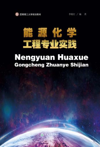 能源化学工程专业实践 封面