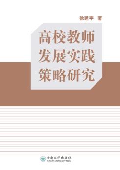 高校教师发展实践策略研究 封面
