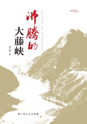 沸腾的大藤峡 封面