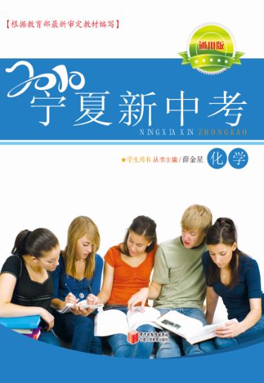 2010宁夏新中考  化学  通用版 封面