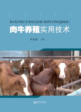 肉牛养殖实用技术 封面
