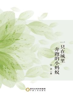 一只在城里奔跑的小蚂蚁 封面