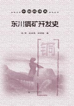 云南大学中国经济史研究丛书 东川铜矿开发史 封面