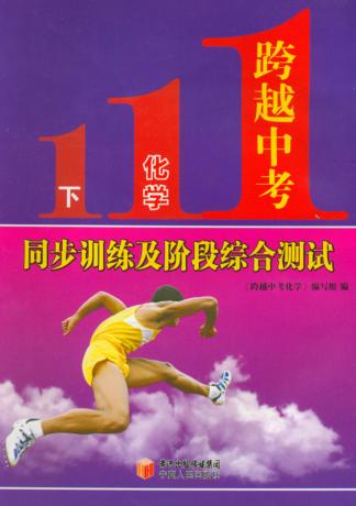 跨越中考化学  下  同步训练及阶段综合测试 封面