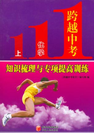跨越中考化学  上  知识梳理与专项提高训练 封面