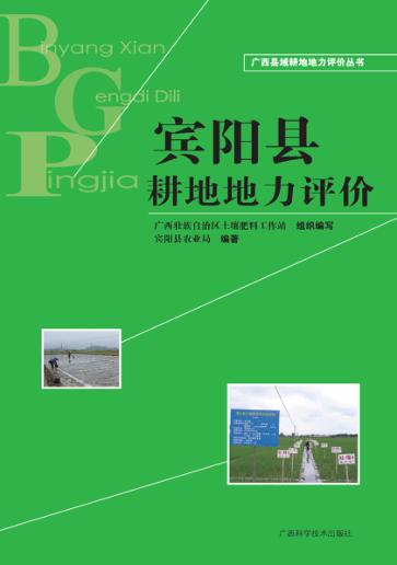 广西县域耕地地力评价丛书  宾阳县耕地地力评价 封面