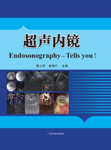 超声内镜 封面