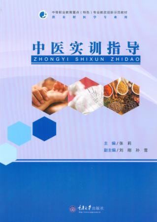中医实训指导 封面