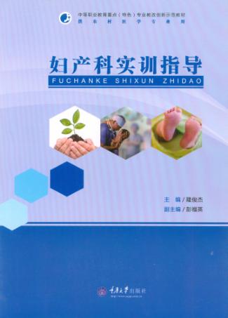 妇产科实训指导 封面