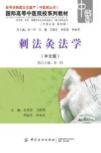 刺法灸法学  中文版 封面