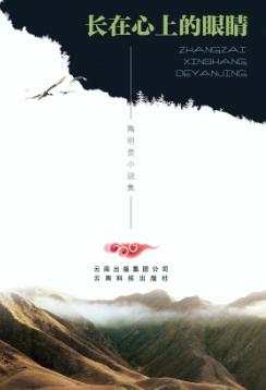 长在心上的眼睛  陶明贵小说集 封面