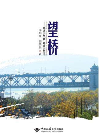 望桥  那路的风景那家的足印 封面