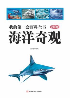 我的第一套百科全书  海洋奇观  进阶版 封面
