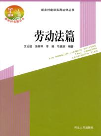 新农村建设实用法律丛书  劳动法篇 封面