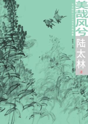 美哉风兮  北京朝阳2015城市风情画集  陆太林卷