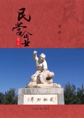 清河县民营企业集萃 封面