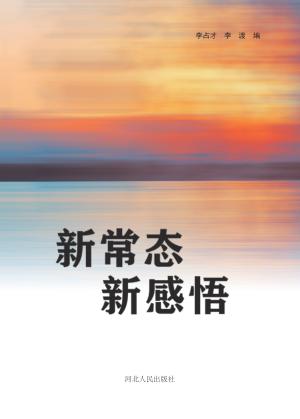 新常态  新感悟