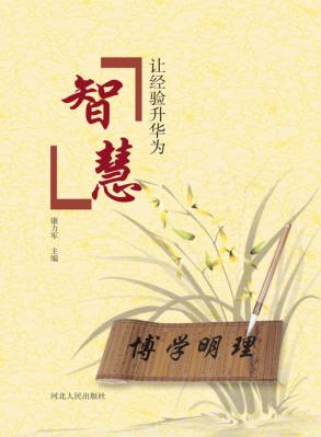 让经验升华为智慧 封面