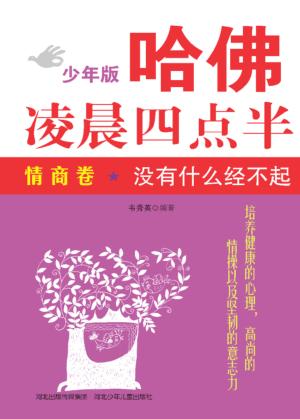 没有什么经不起 封面