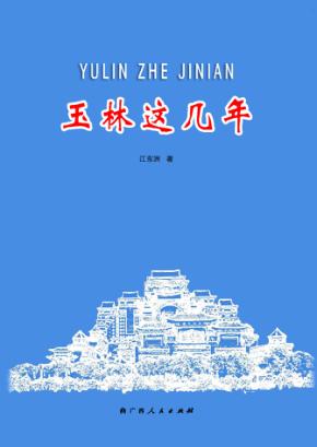 玉林这几年 封面