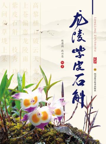 龙陵紫皮石斛 封面