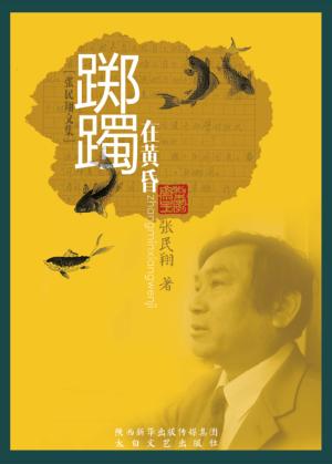 踯躅在黄昏 封面