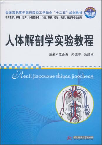 人体解剖学实验教程 封面