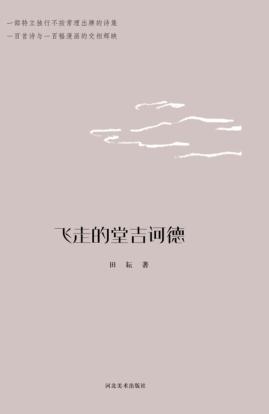 飞走的堂吉诃德 封面