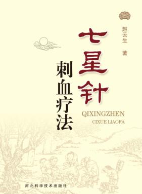 七星针刺血疗法 封面
