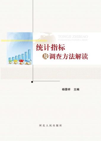 统计指标及调查方法解读 封面