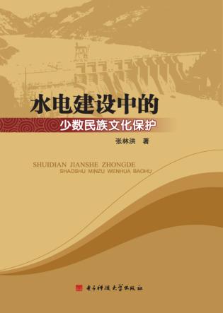 水电建设中的少数民族文化保护 封面