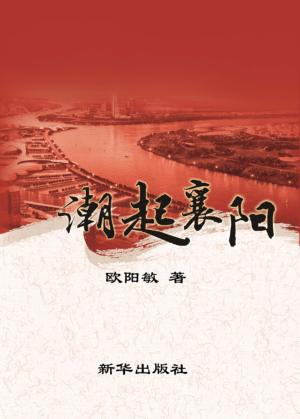 潮起襄阳  20世纪70年代湖北襄樊引进科技人才纪实 封面
