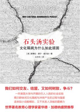 石头汤实验  文化隔阂为什么如此顽固 封面