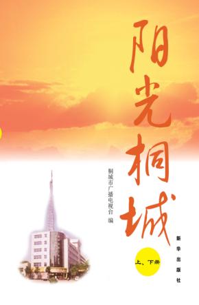 阳光桐城  上下 封面
